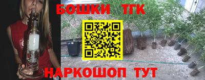 МДПВ Владимир